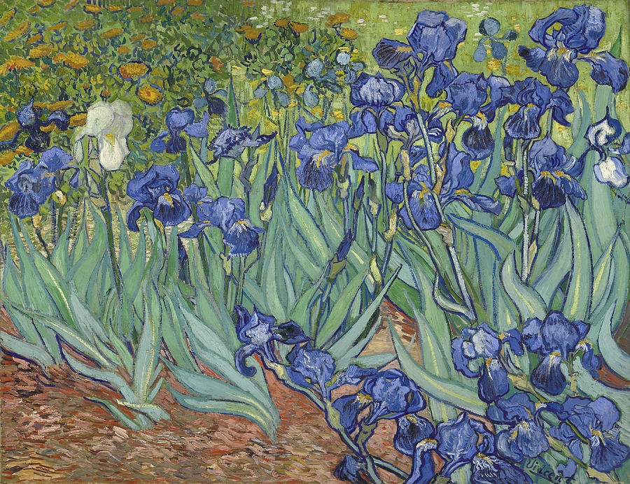 Irises #39 Painting by Vincent Van Gogh