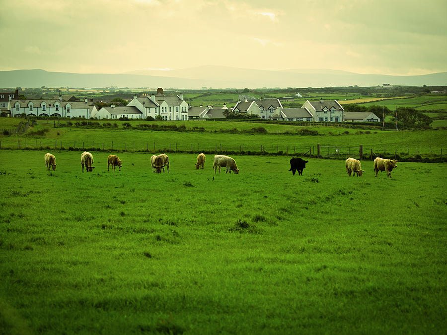 Irish Farm #1 Photograph by Haoliang