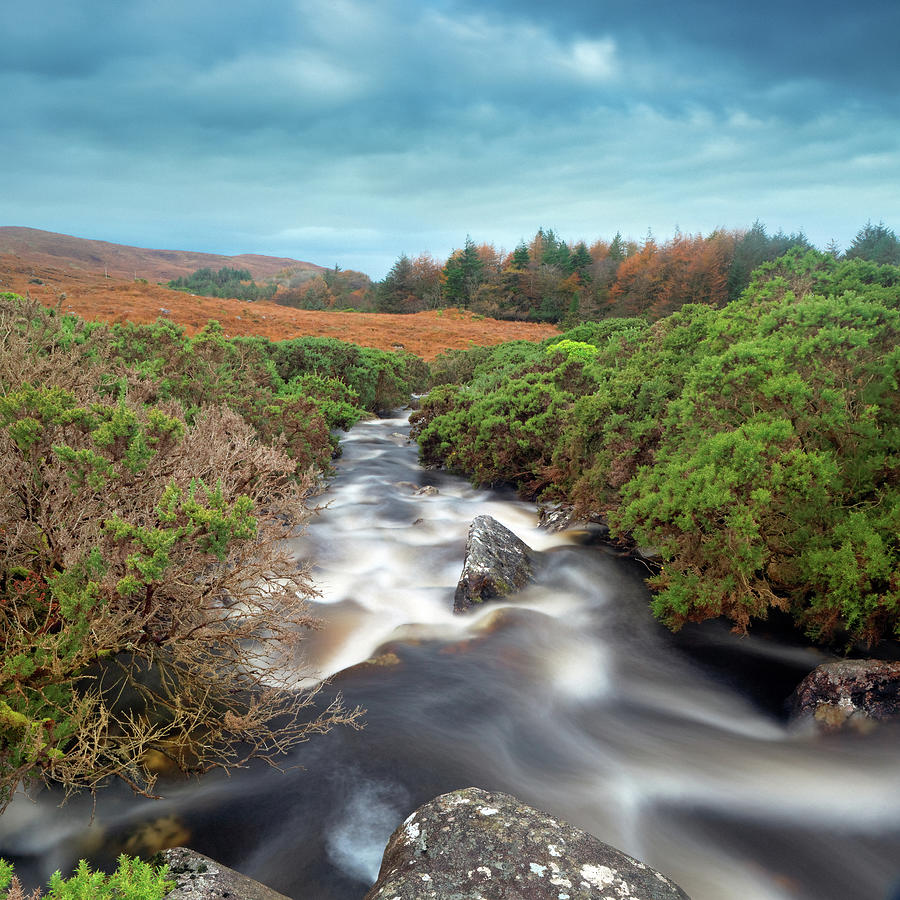 Irish Landscape #1 Photograph by Mammuth