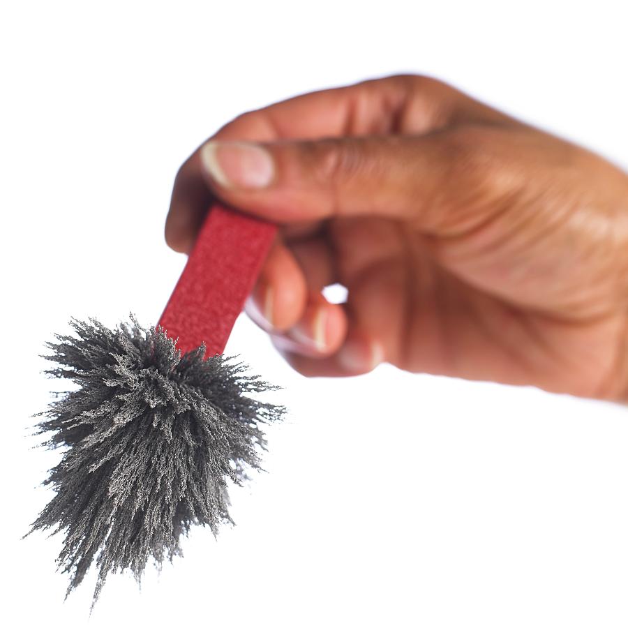 Iron Filings On A Magnet #1 Photograph by Science Photo Library