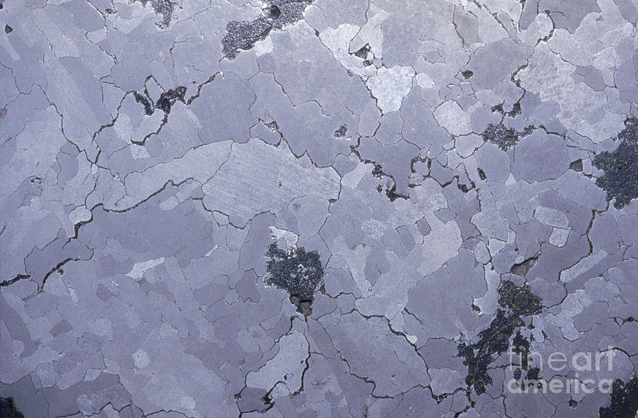 Iron-nickel Meteorite, Widmanstatten #1 Photograph by Gregory G. Dimijian, M.D.