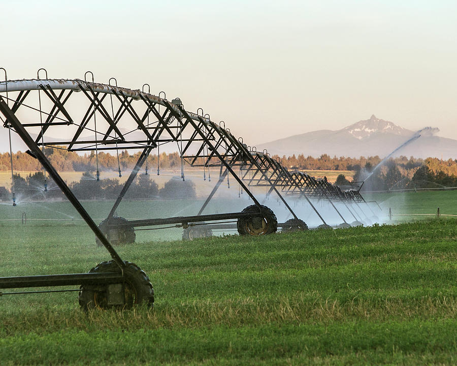 Irrigation Sprinklers On Farm Land Photograph by Ron Koeberer - Pixels