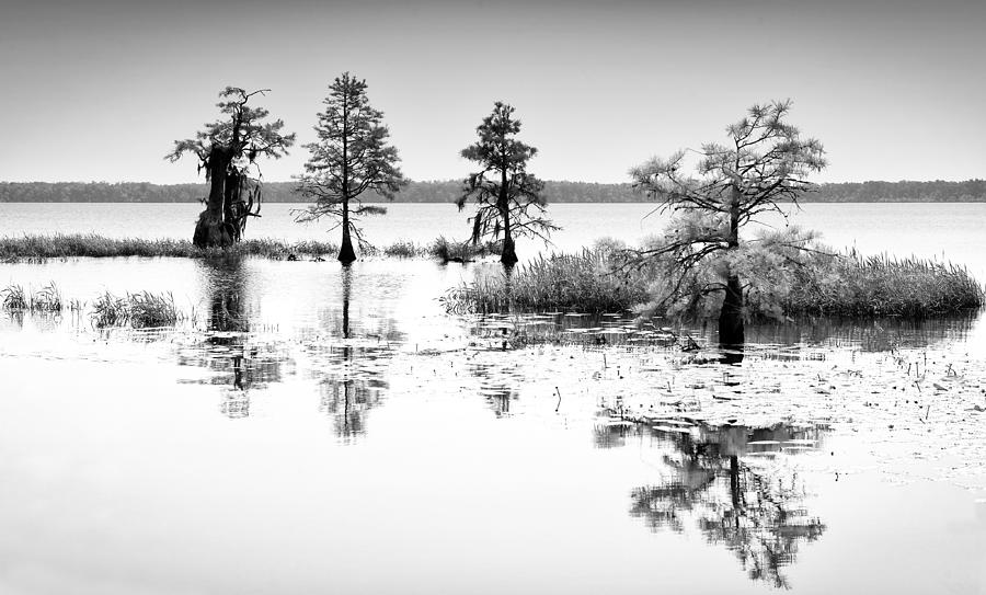 Landscape Photograph - Isle of Peace - North Carolina #1 by Dan Carmichael