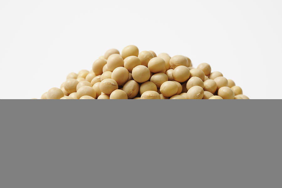 Isolated shot of stacked dried soybeans on white background #1 Photograph by Kyoshino