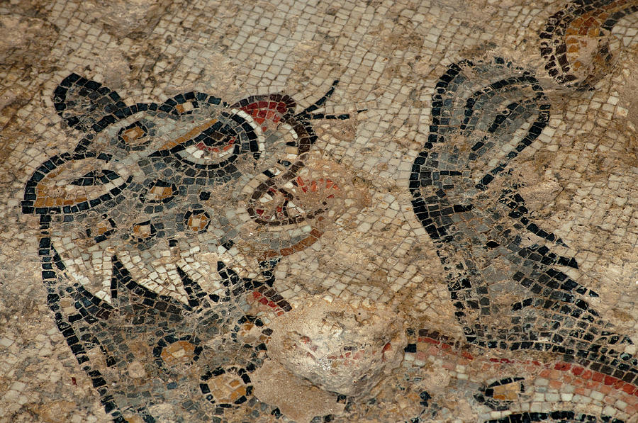 Byzantine Photograph - Israel, Lower Galilee, Floor Mosaic #1 by Ellen Clark