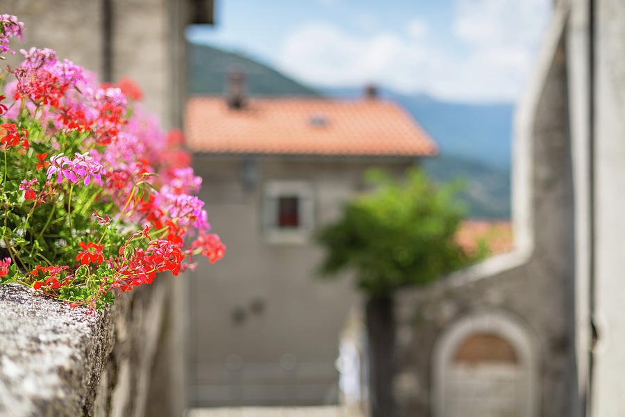 Italian Country In Abruzzo #1 Photograph by Deimagine