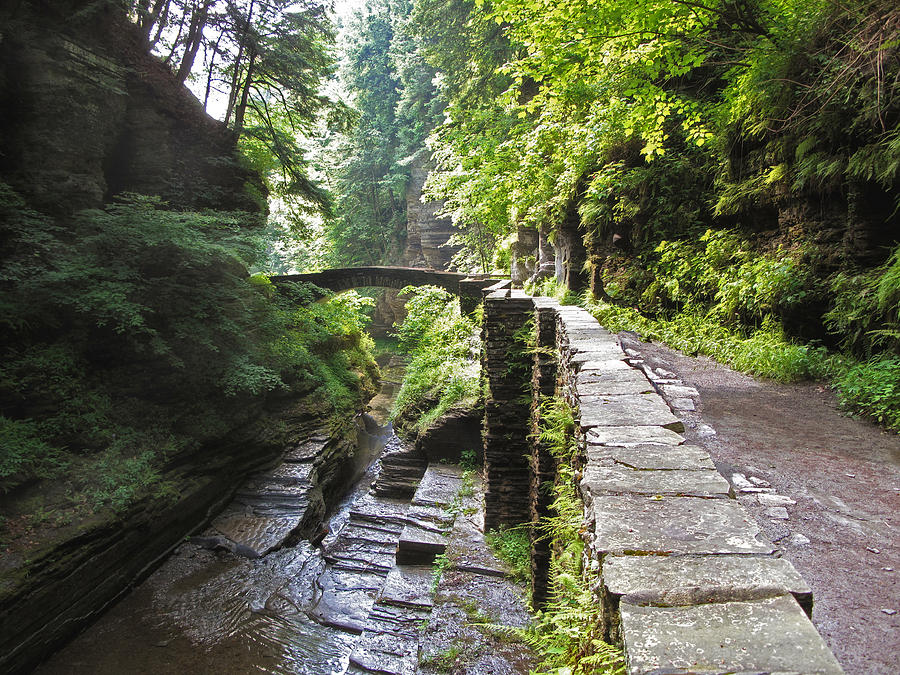 Nature Photograph - Ithaca Gorge #1 by Jessica Jenney