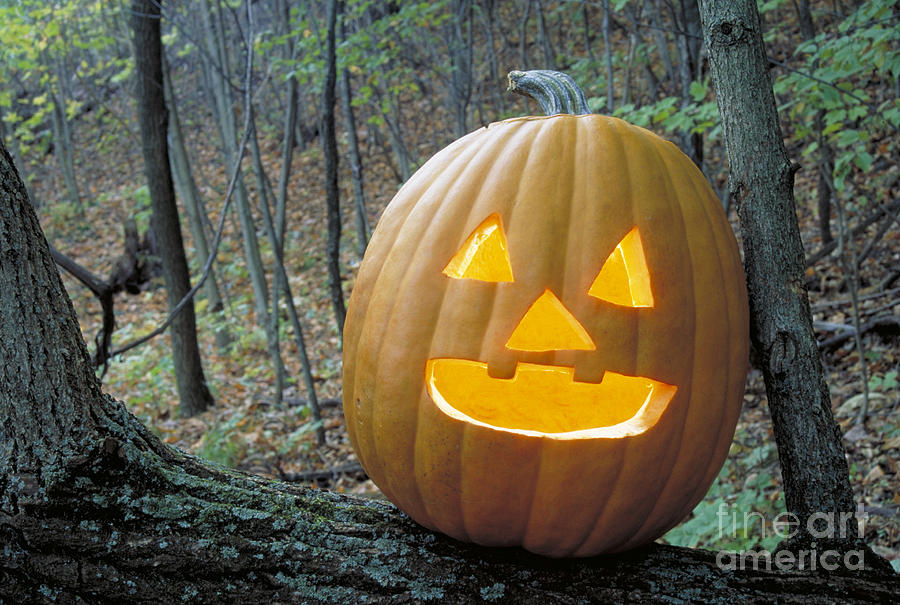 Jack O Lantern In Woods #2 Photograph by Larry West