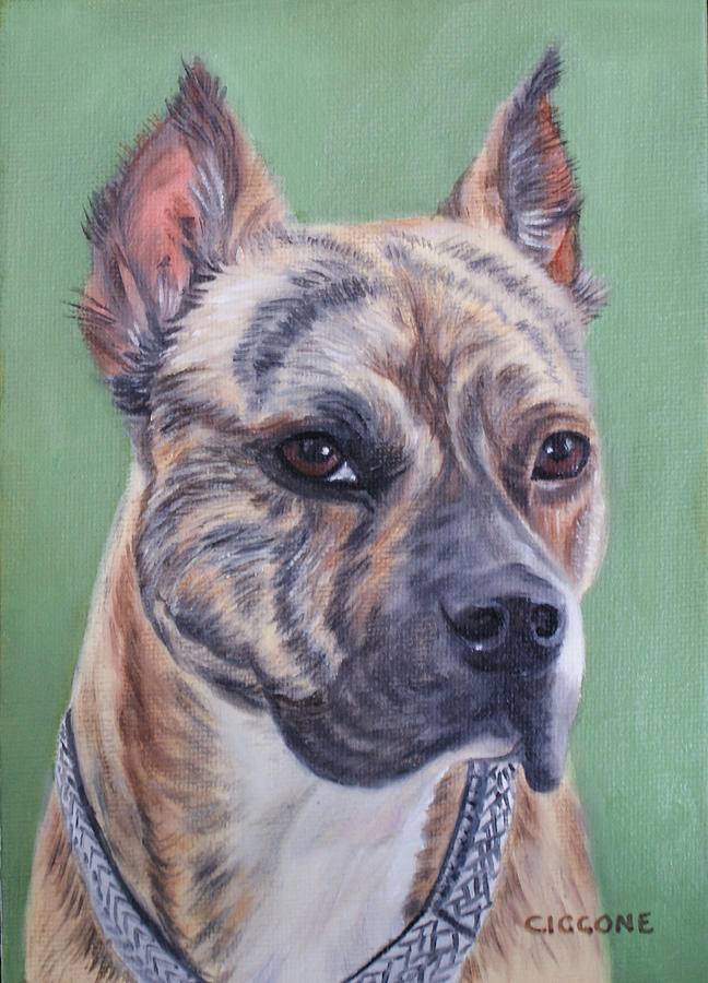 Dog Painting - Jade by Jill Ciccone Pike