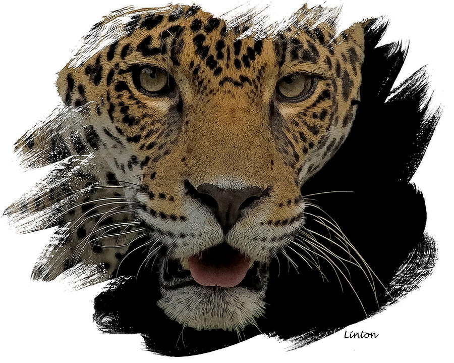Jaguar 5 #1 Digital Art by Larry Linton