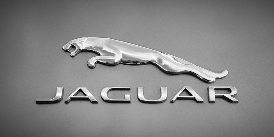 Black And White Photograph - Jaguar F Type Emblem #1 by Jill Reger