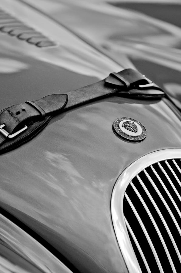 Jaguar Hood Emblem #1 Photograph by Jill Reger