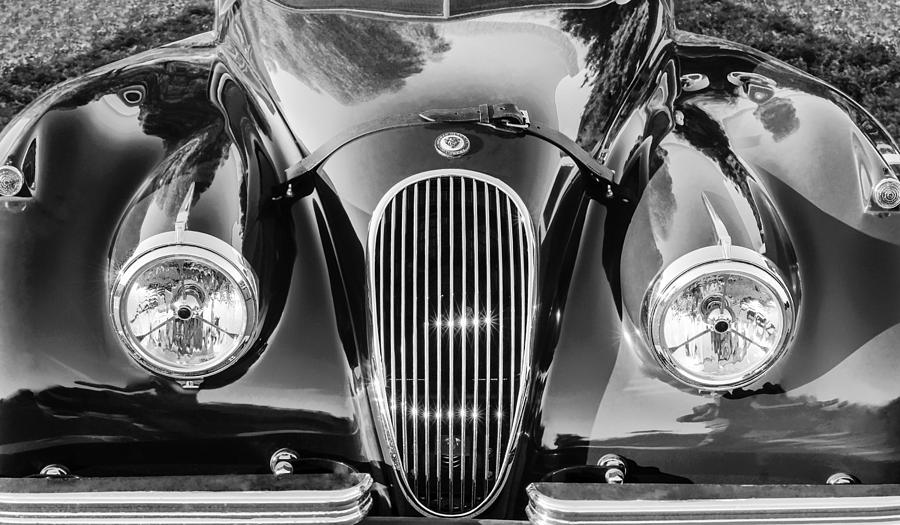 Jaguar Hood Grille -0023bw #1 Photograph by Jill Reger