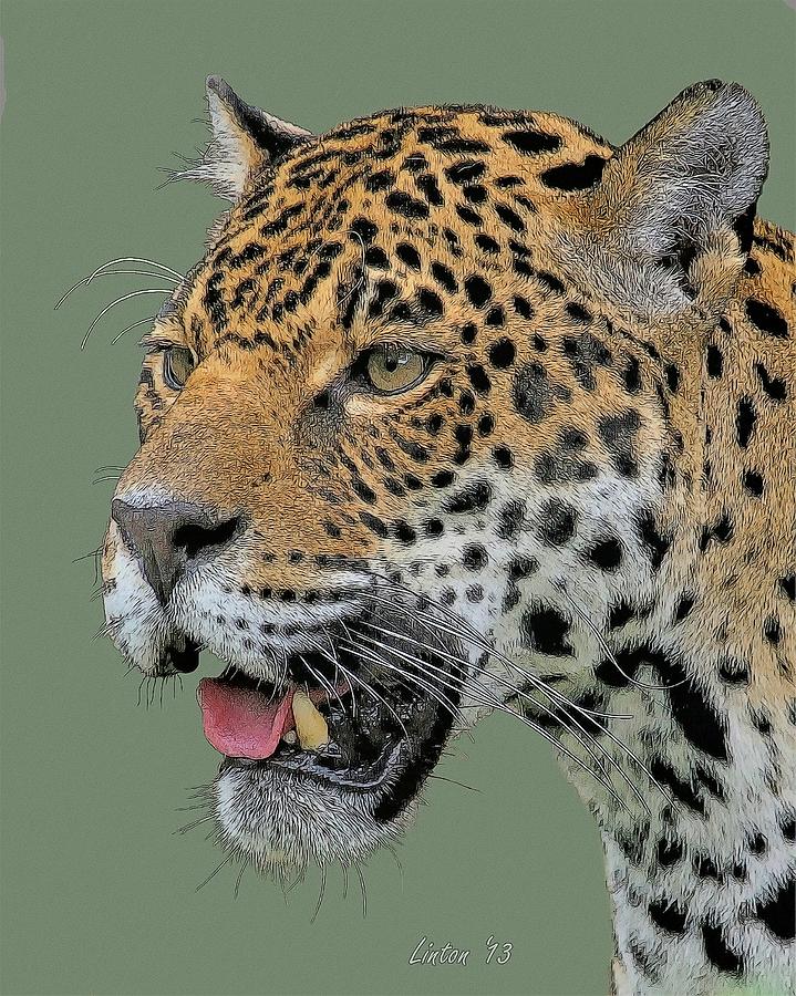 Jaguar Portrait Digital Art by Larry Linton