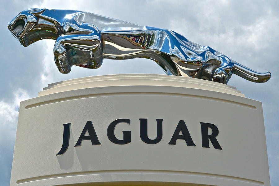 Jaguar #1 Photograph by Frozen in Time Fine Art Photography
