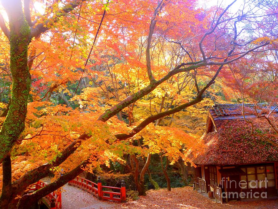 Japan autumn fantasy #2 Photograph by Kumiko Mayer