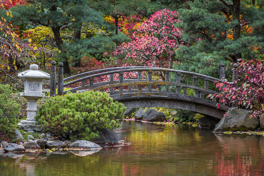 Fall Photograph - Japanese Bridge #1 by Sebastian Musial