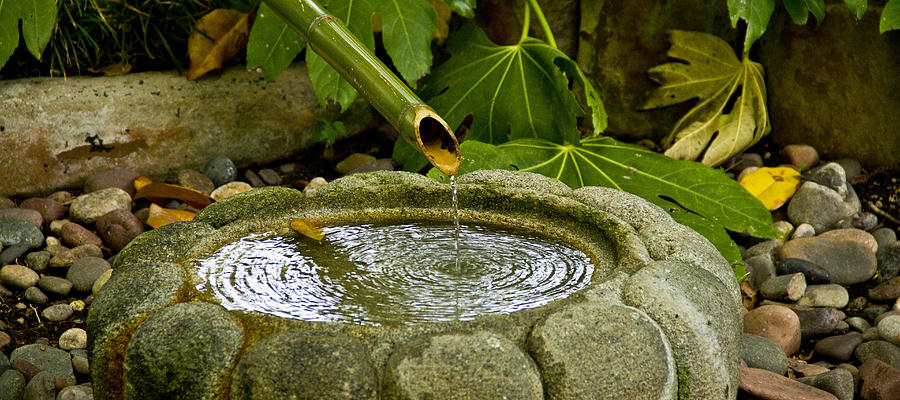 Japanese Fountain 21 Photograph by Paul Anderson
