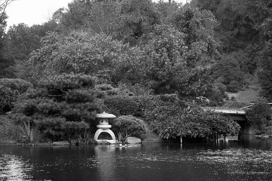 Japanese Garden #1 Photograph by Ross Henton