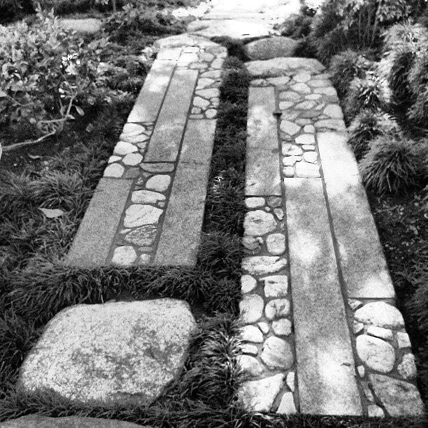 Japanese Garden Stepping Stones #1 Photograph by Karyn Robinson