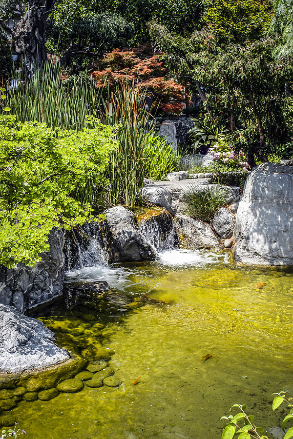 Japanese gardens #1 Photograph by Chris Smith