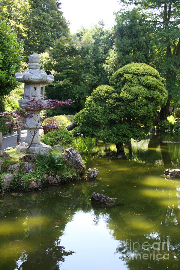 Japanese Tea Garden Pond Photograph by Christiane Schulze Art And ...