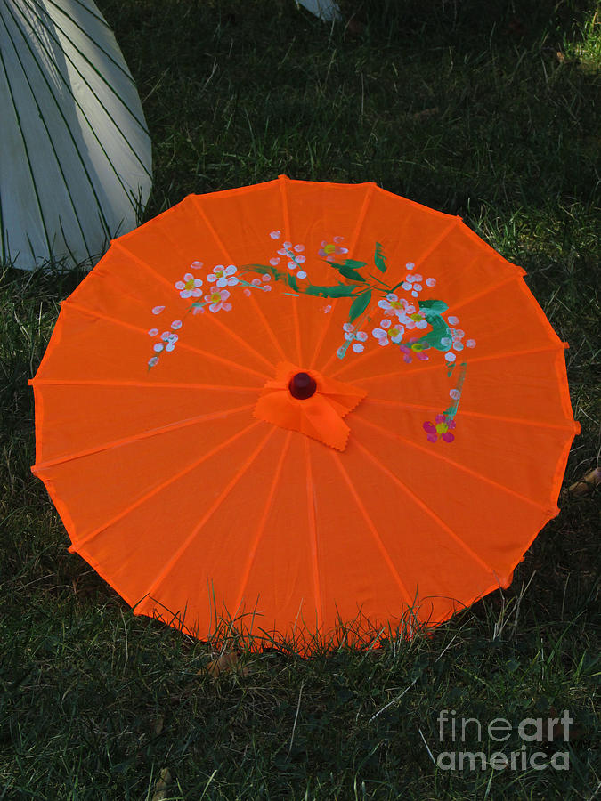 Japanese Umbrella Photograph by Jamie Smith