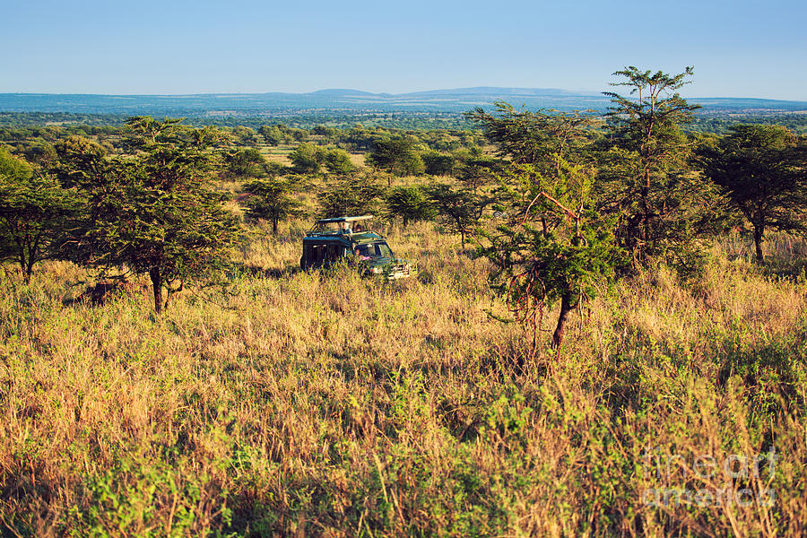 Jeep With Tourists On Safari In Serengeti. Tanzania. Africa. Photograph