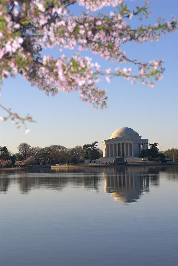 Jefferson Memorial and DC Cherry Blossom Festival #1 Photograph by Willie Harper