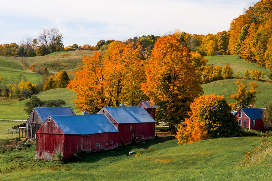 Jenne Farm Reading Vermont Photograph by Tom Wilder - Fine Art America