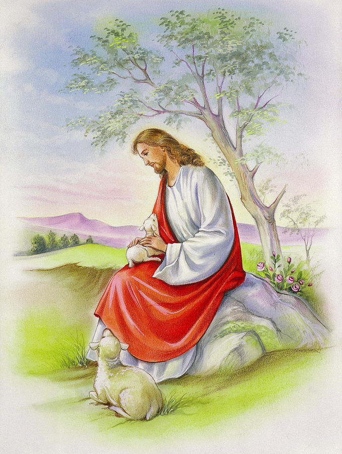 jesus the shepherd
