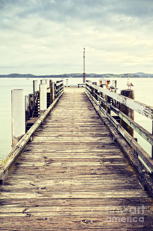 Pier Photograph - Jetty at Maraetai Beach Auckland New Zealand #1 by Colin and Linda McKie