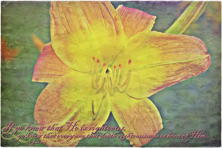 1 John 2 29 Digital Art by Michelle Greene Wheeler - Fine Art America