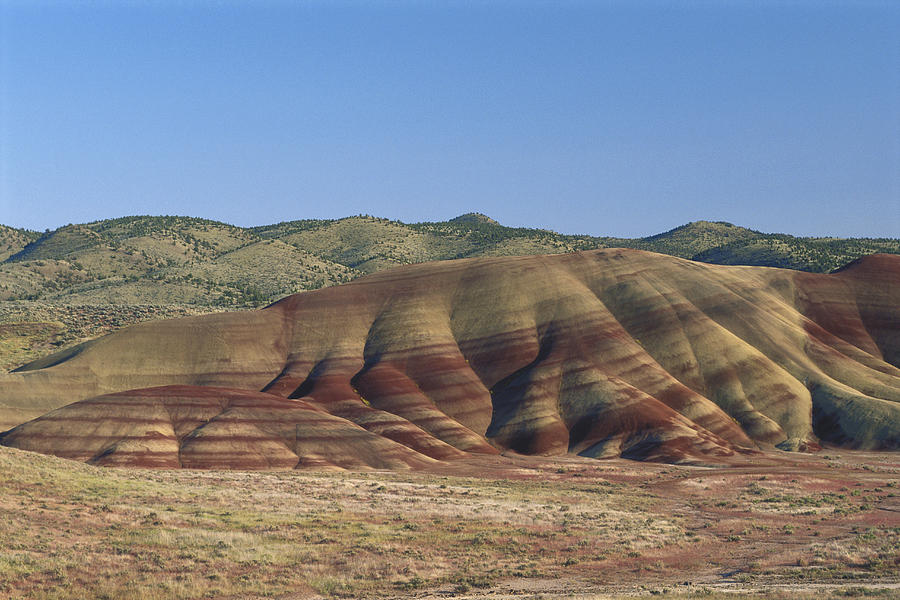 John Day Fossil Beds #1 Photograph by James Steinberg