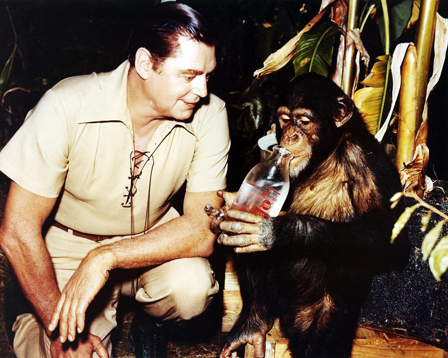Johnny Weissmuller Photograph - Johnny Weissmuller in Jungle Jim  #1 by Silver Screen
