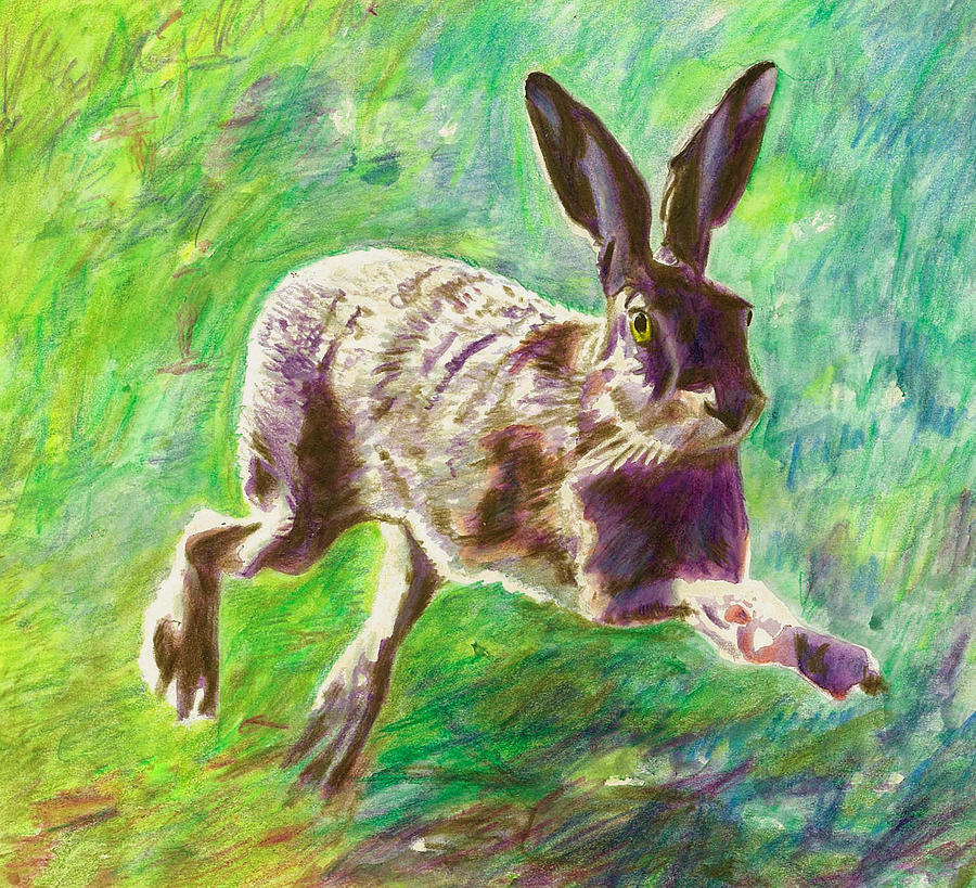 Animal Painting - Joyful Hare by Helen White
