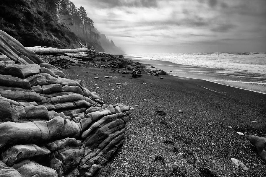 Jurassic Beach #1 Photograph by Bryan Bzdula