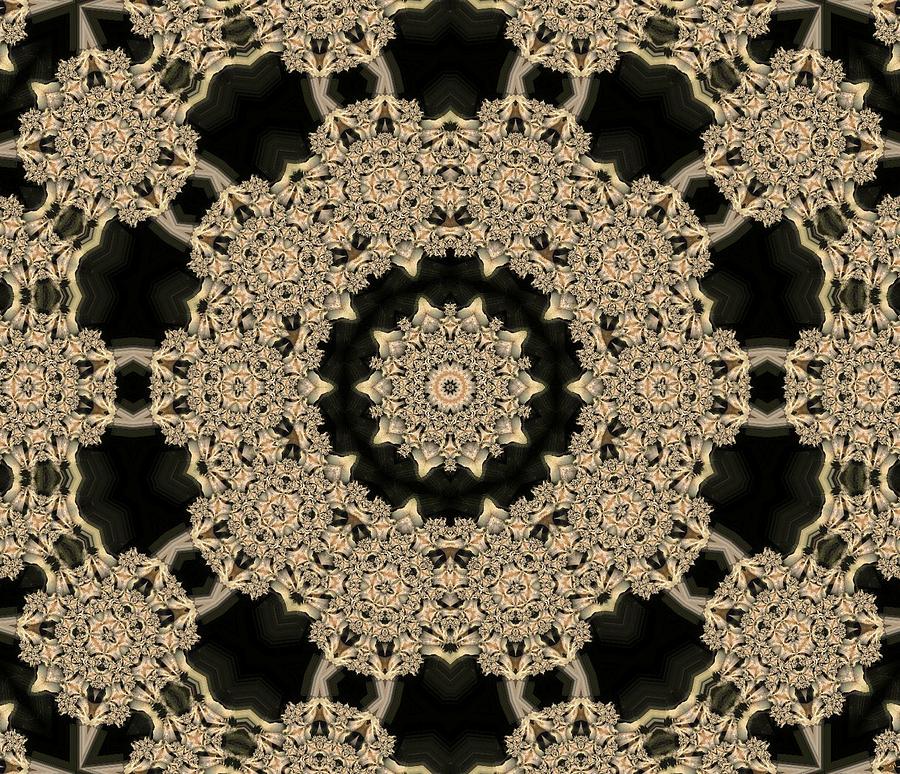 Kaleidoscope 22 #1 Digital Art by Ronald Bissett