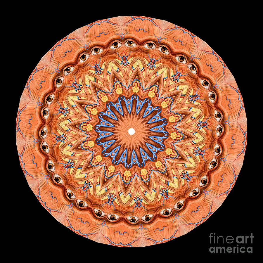 Abstract Photograph - Kaleidoscope Anatomical Illustrations Seriesi #1 by Amy Cicconi