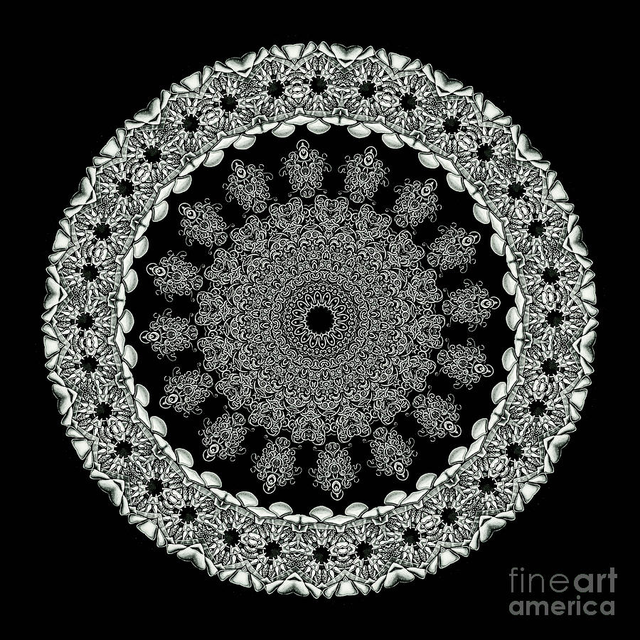 Ernst Haeckel Photograph - Kaleidoscope Ernst Haeckl Sea Life Series Black and White Set 2 #1 by Amy Cicconi