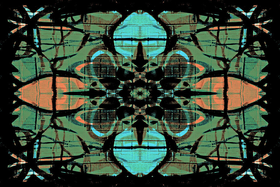 Kaleidoscope Flower 4 Digital Art by Steve Ball