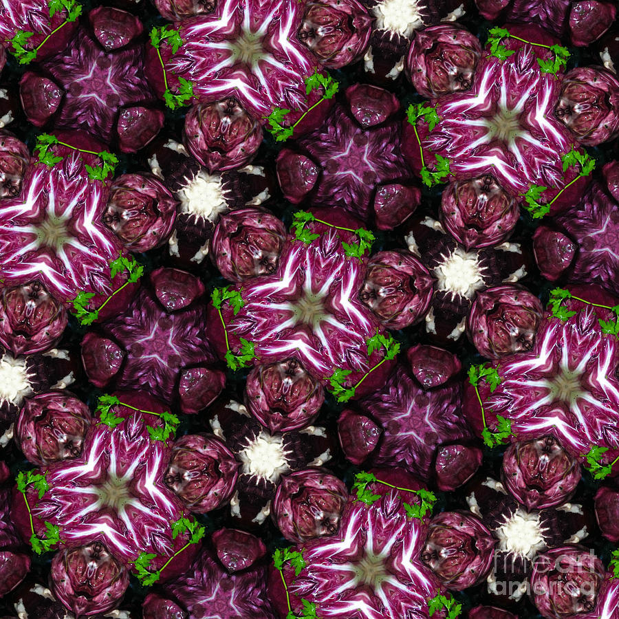 Abstract Photograph - Kaleidoscope Raddichio Lettuce #1 by Amy Cicconi