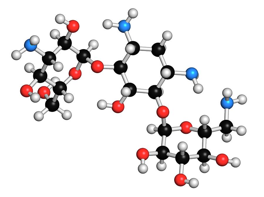 Kanamycin Antibiotic Drug Molecule #1 Photograph by Molekuul