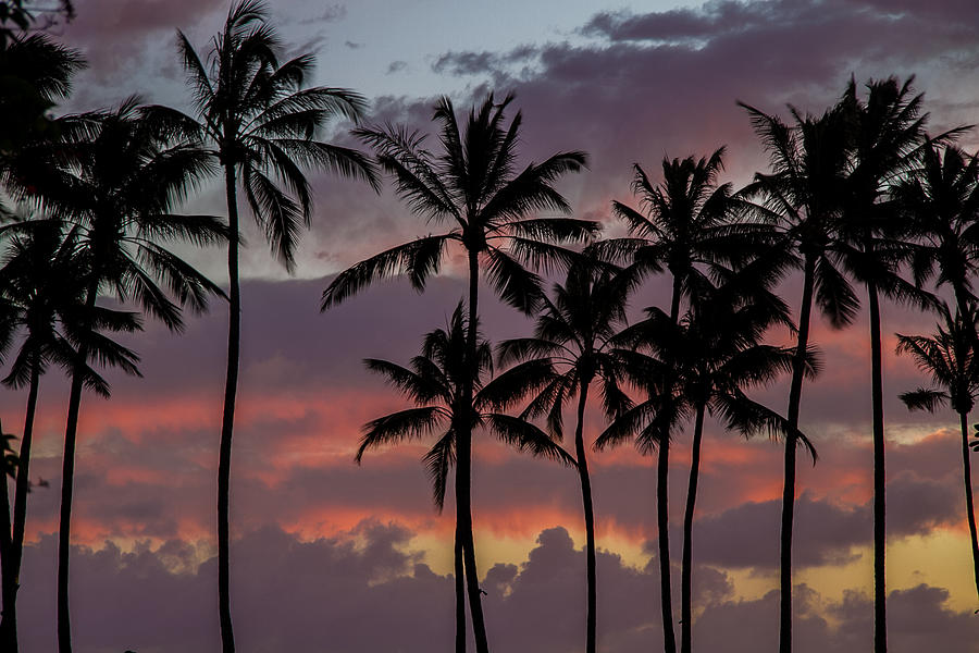 Kauai Sunset #1 Photograph by Roger Mullenhour