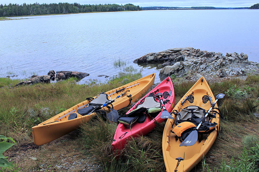 Kayaks #1 Photograph by Susan Jensen