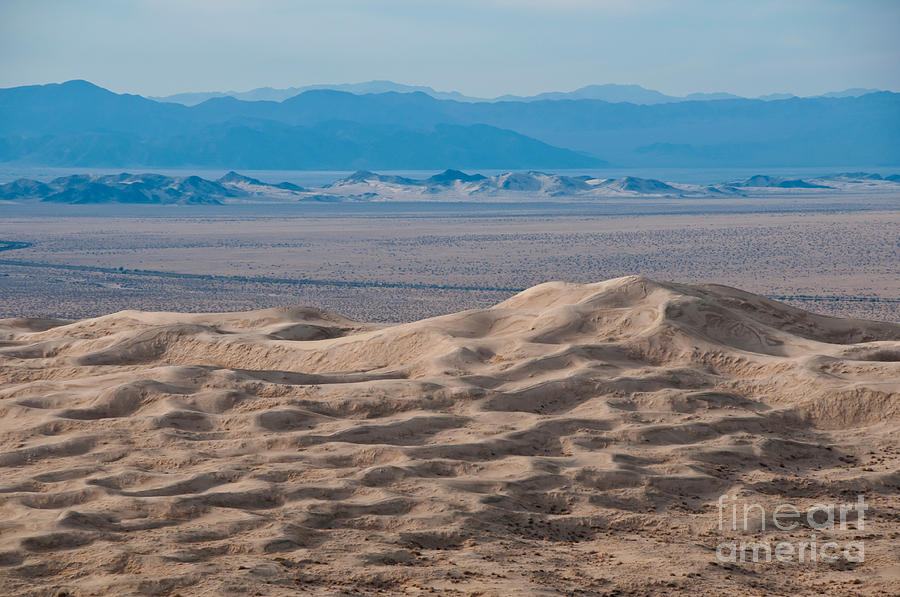 Kelso Dunes, Mojave National Preserve Photograph By Mark Newman | Fine ...