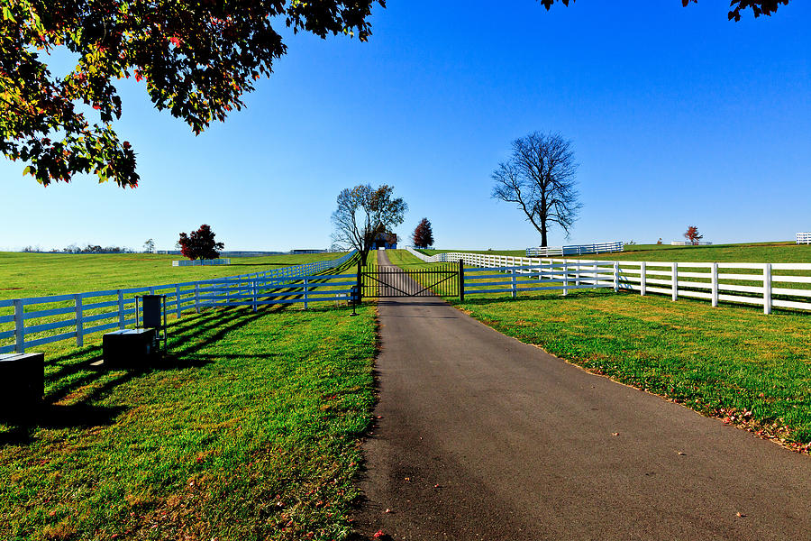 Kentucky Thoroughbred Farm #1 Photograph by Ben Graham