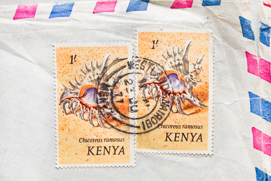 Vintage Photograph - Kenya Stamp #1 by Tom Gowanlock