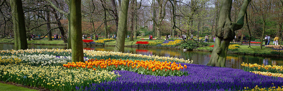 Keukenhof Garden Lisse The Netherlands #1 Photograph by Panoramic Images
