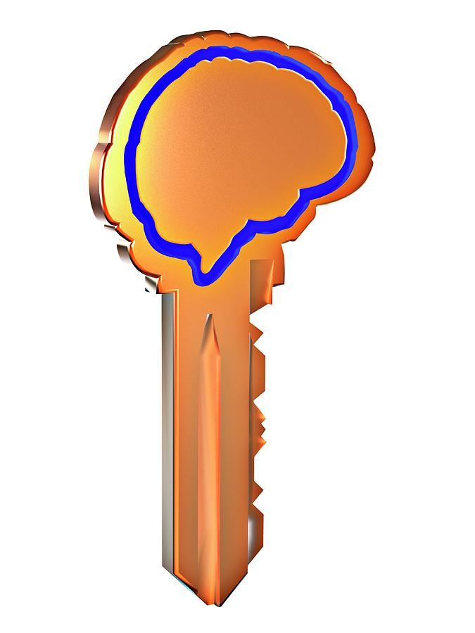 Key With Brain Shape #1 Photograph by Alfred Pasieka